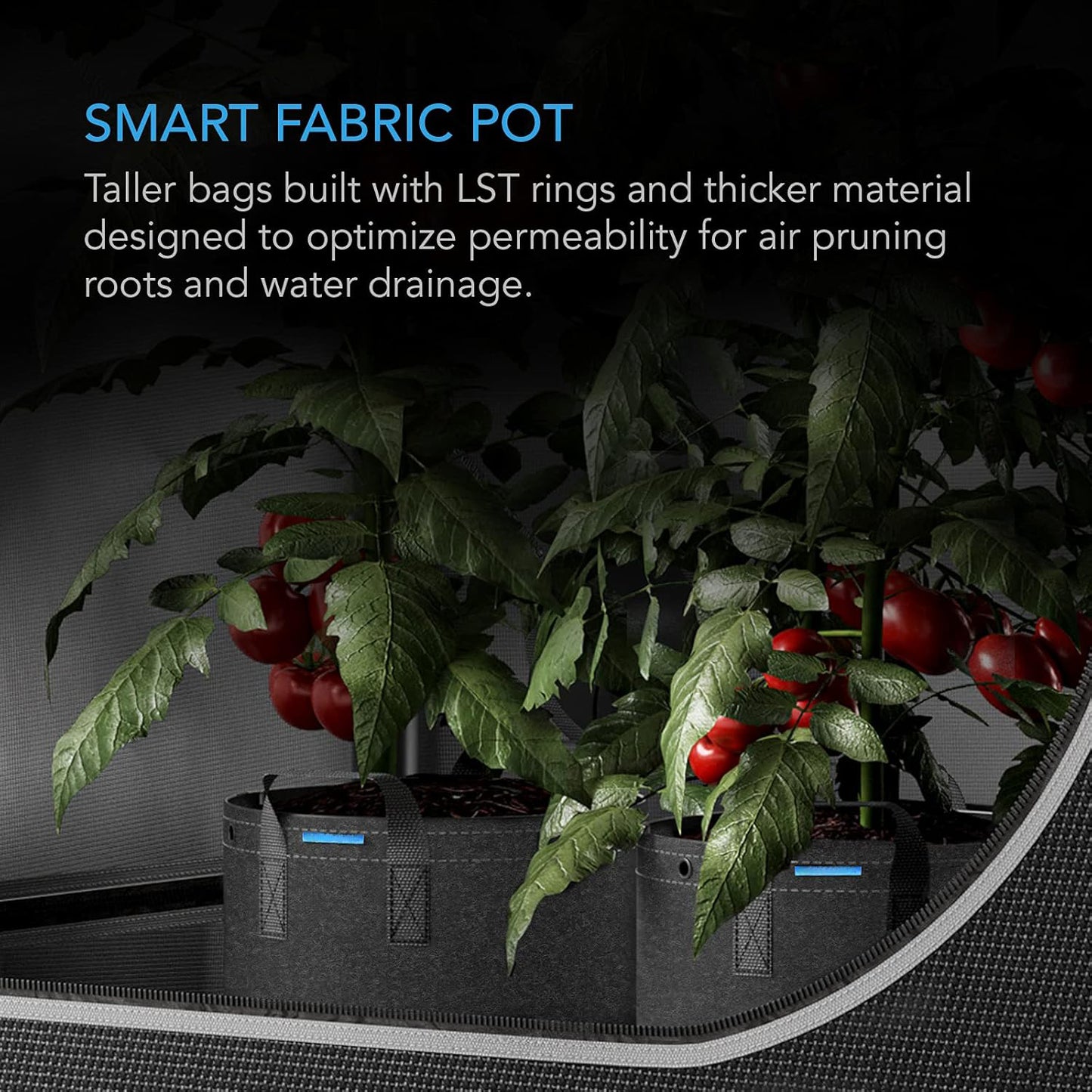 grow bag