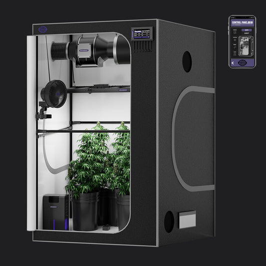 Growbuddy Growtent Complete Kit 3*3
